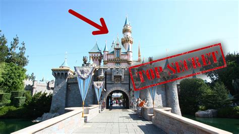 Experience the Best of Disneyland: Explore the Magical Extras